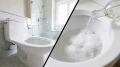 Kako ukloniti naslage kamenca s WC školjke: jednostavni kućni pripravci mogu pomoći