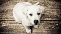 7 vrsta ljudi koje ljudi obično izbjegavaju: što im je?